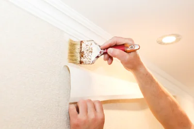 Pose de papier peint à Proveysieux — revêtements muraux et toiles de verre